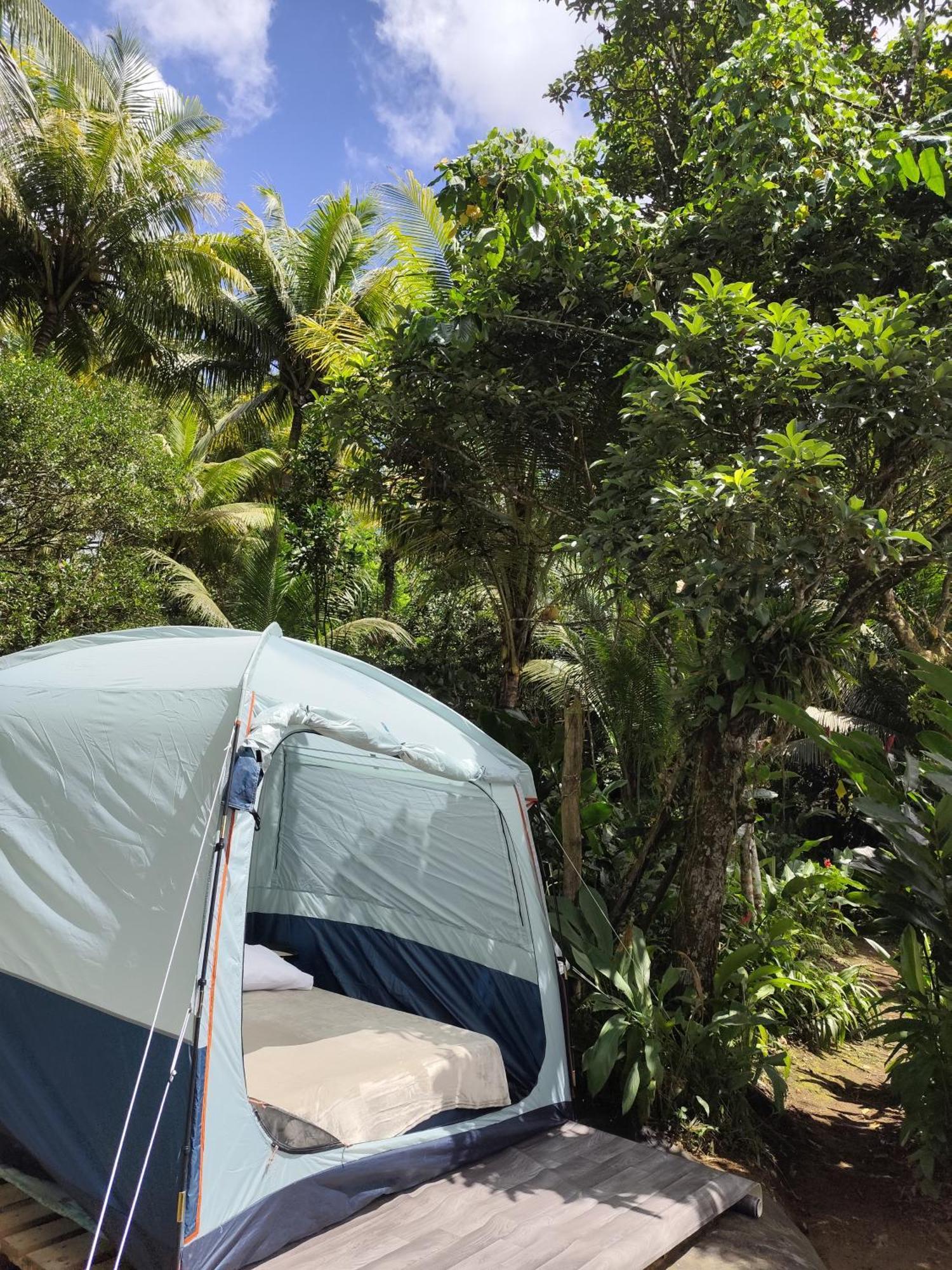 Camping A La Ferme Gros-Morne Dış mekan fotoğraf