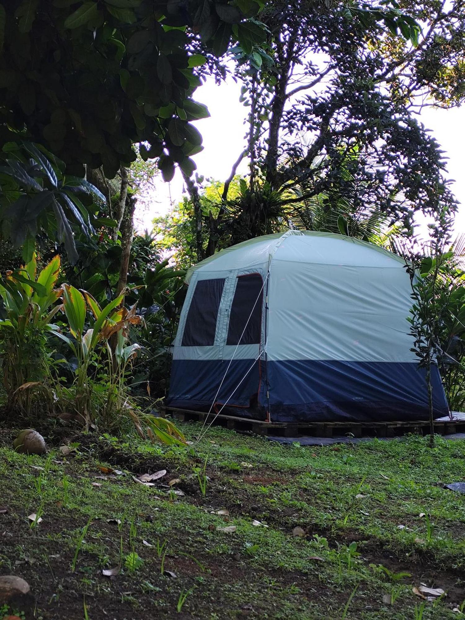 Camping A La Ferme Gros-Morne Dış mekan fotoğraf